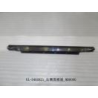 Right front door decorative strip