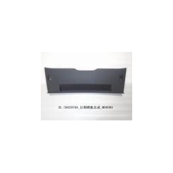 Back door lower guard plate