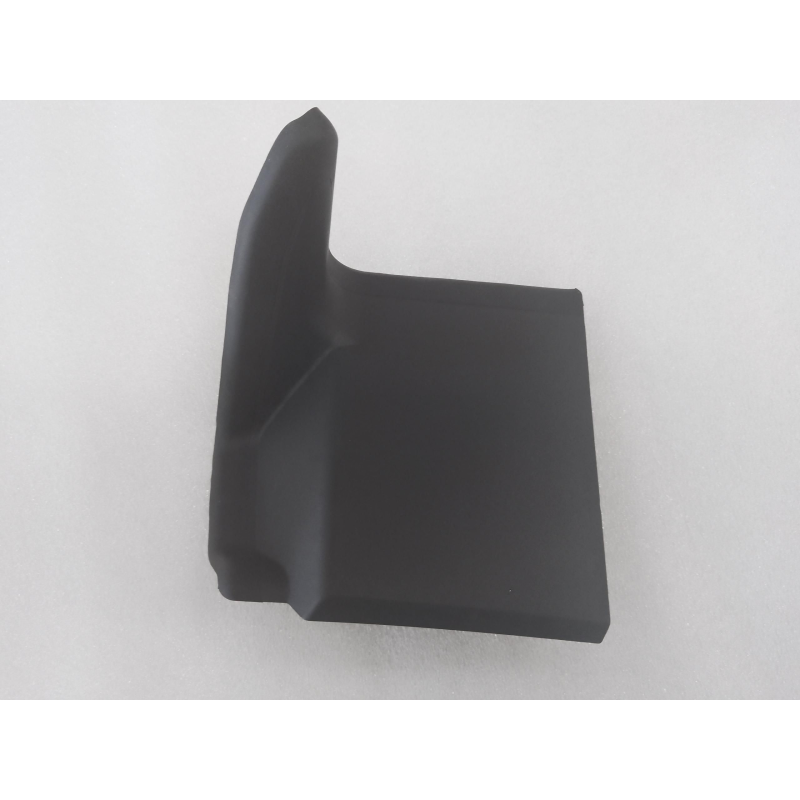 Tail light guard R