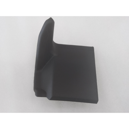 Tail light guard R