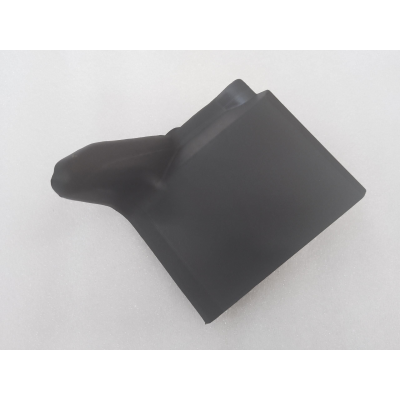 Tail light guard L