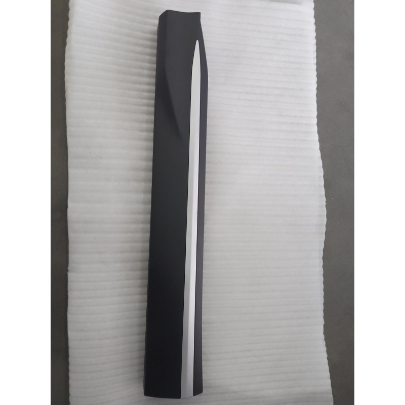 Door skirt assembly front L