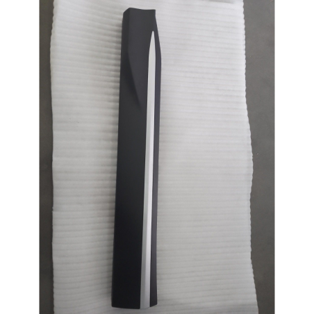 Door skirt assembly front L
