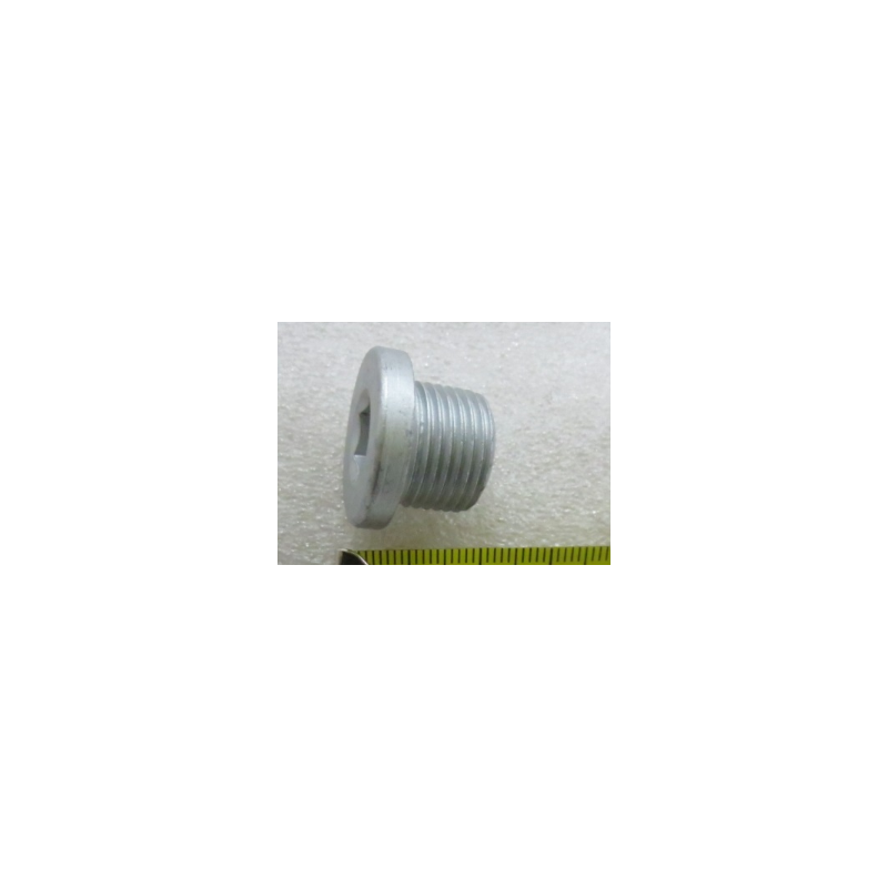 Hexagon socket screw plug
