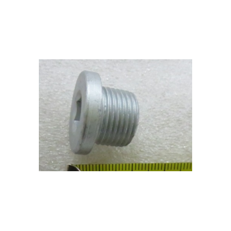 Hexagon socket screw plug