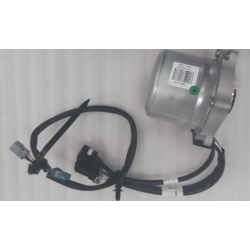 Brushless Motor