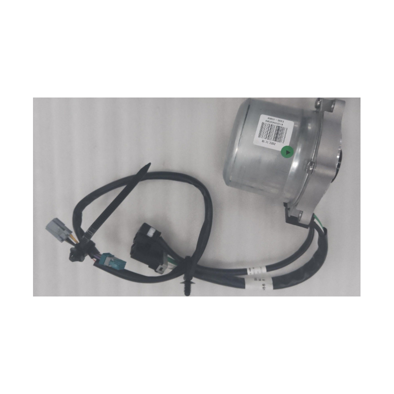 Brushless Motor