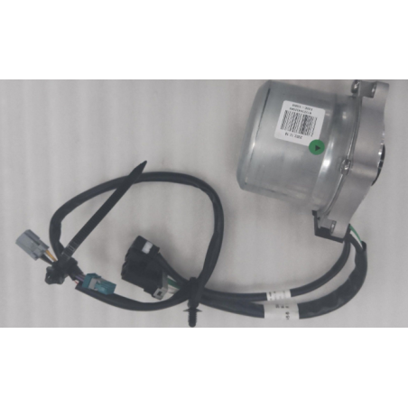 Brushless Motor