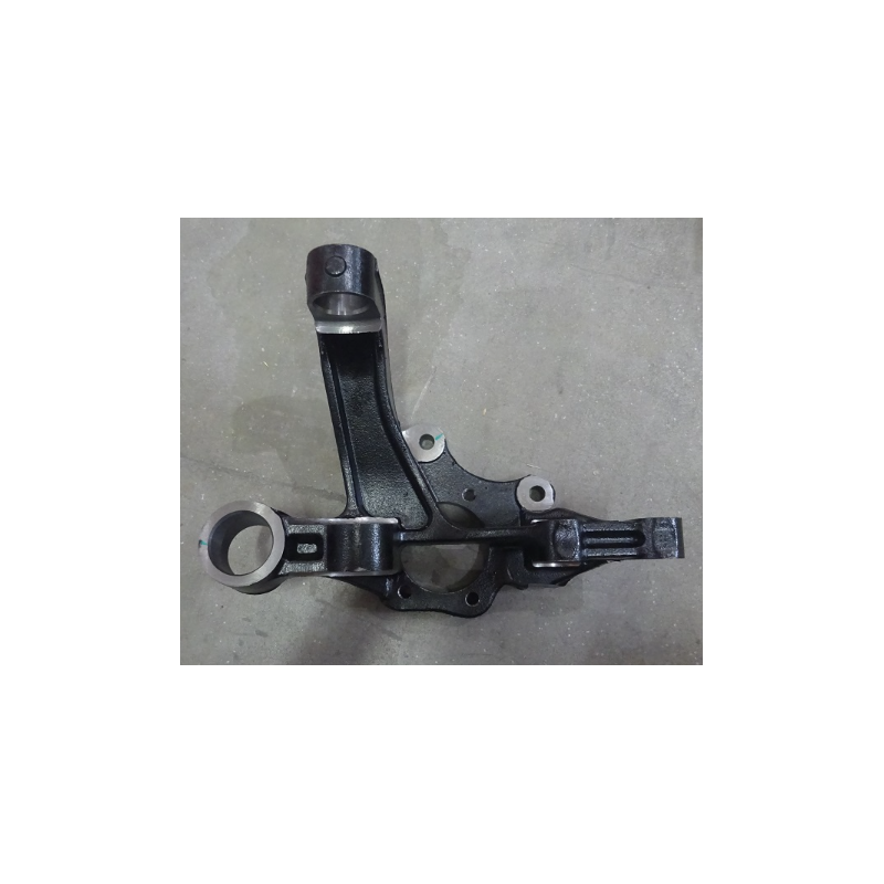 Left rear horn