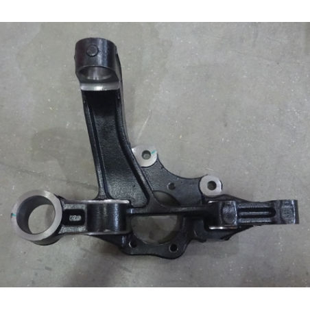 Left rear horn