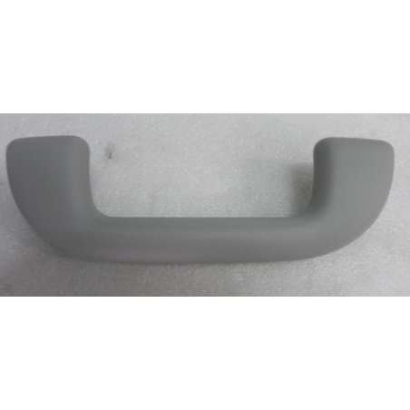 Roof handle