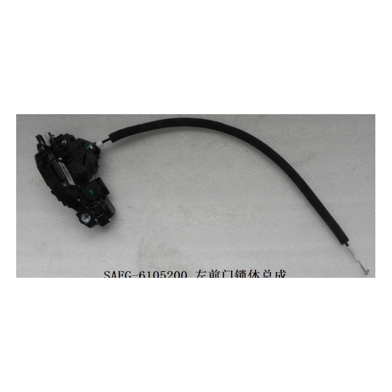 Left front door lock body