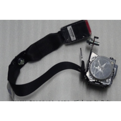 Rear three-point seat belt
