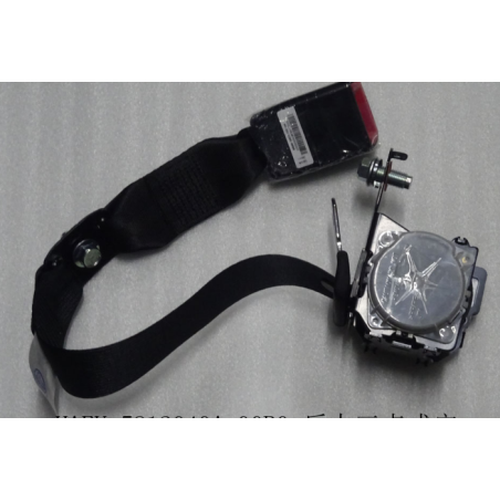 Rear three-point seat belt