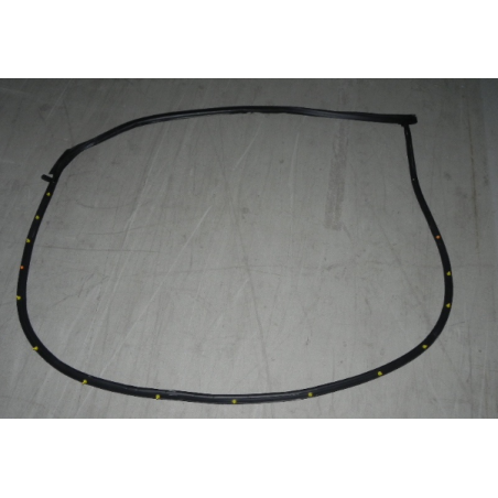 Left front door sealing strip